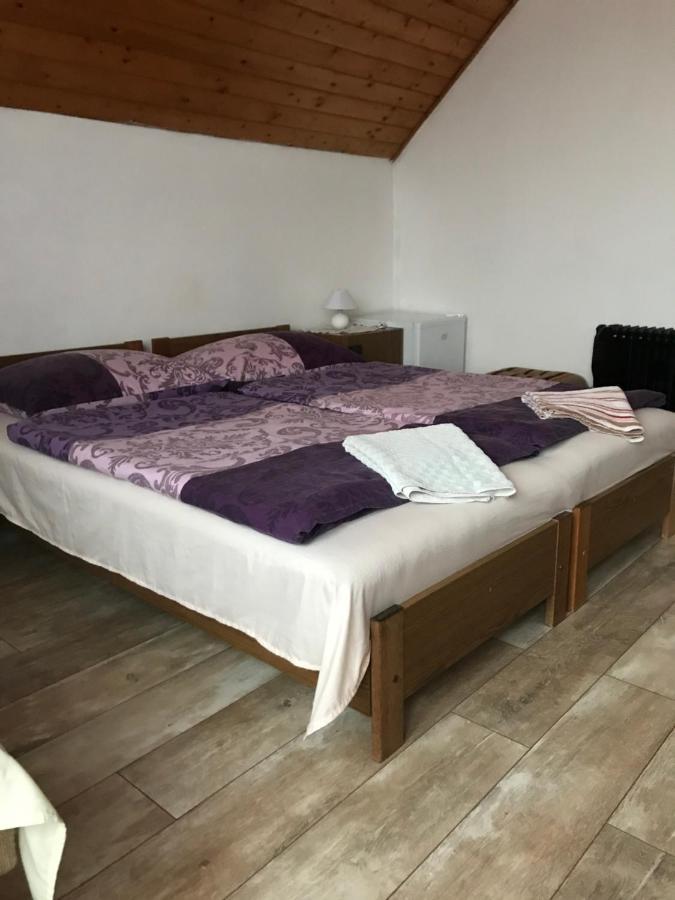 Ilona Panzio Hotel Balatonlelle Luaran gambar