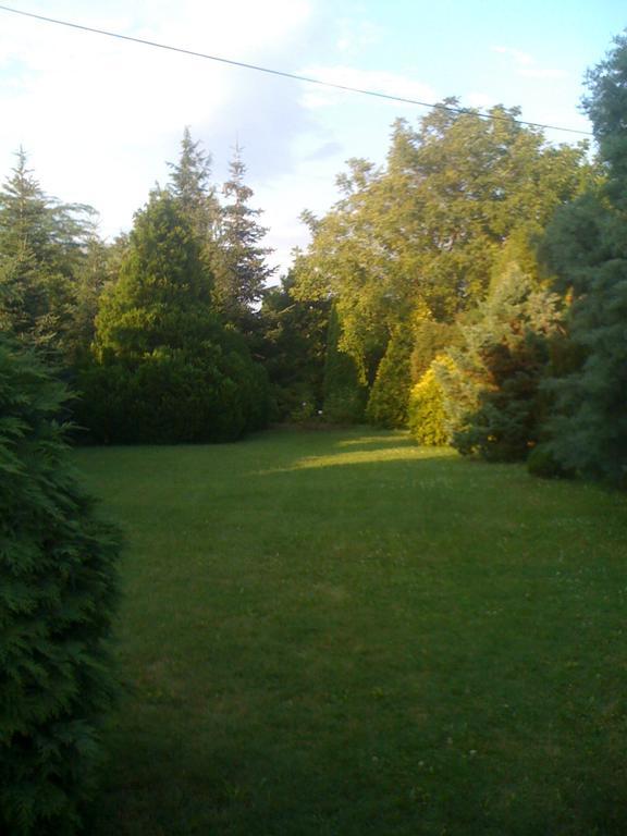 Ilona Panzio Hotel Balatonlelle Luaran gambar
